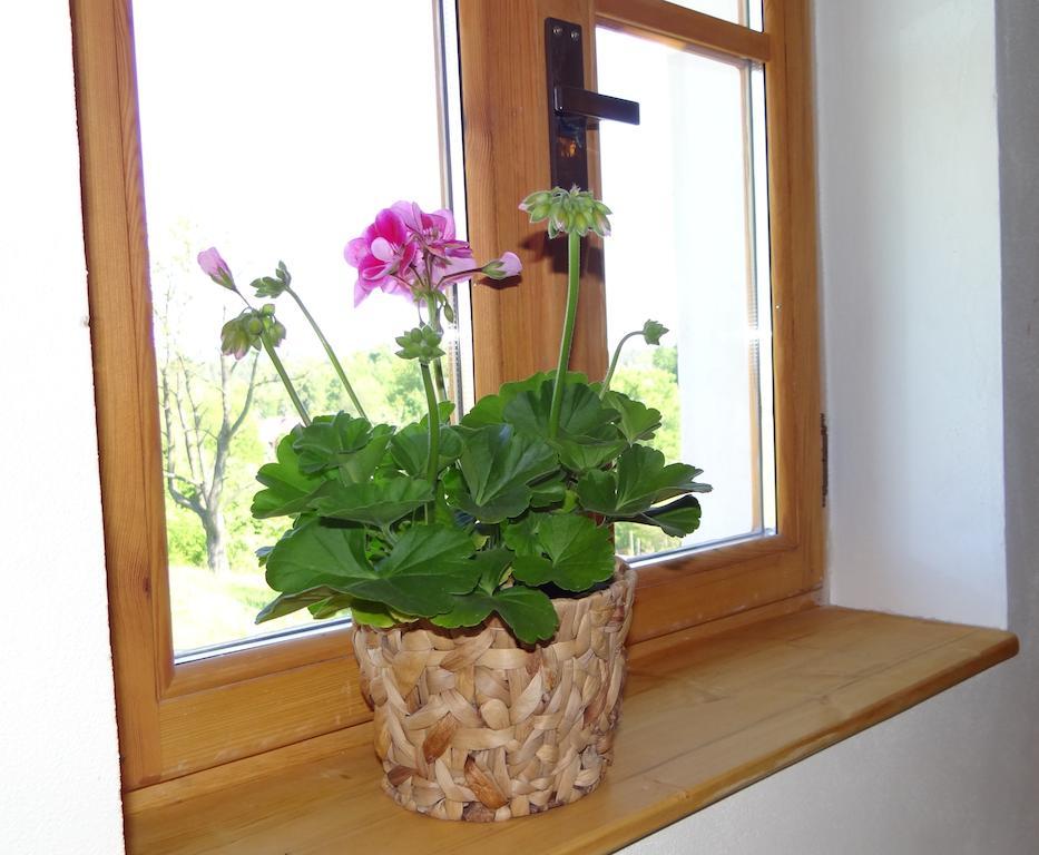 Villa Farma Ruzova Extérieur photo
